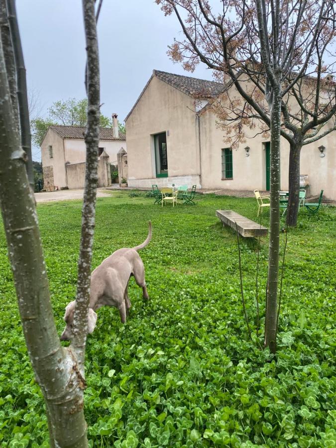 Casa Rural El Vihuelo Hotel El Bosque Exterior photo