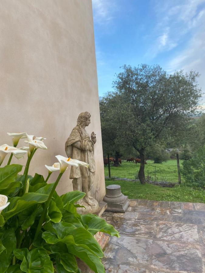 Casa Rural El Vihuelo Hotel El Bosque Exterior photo