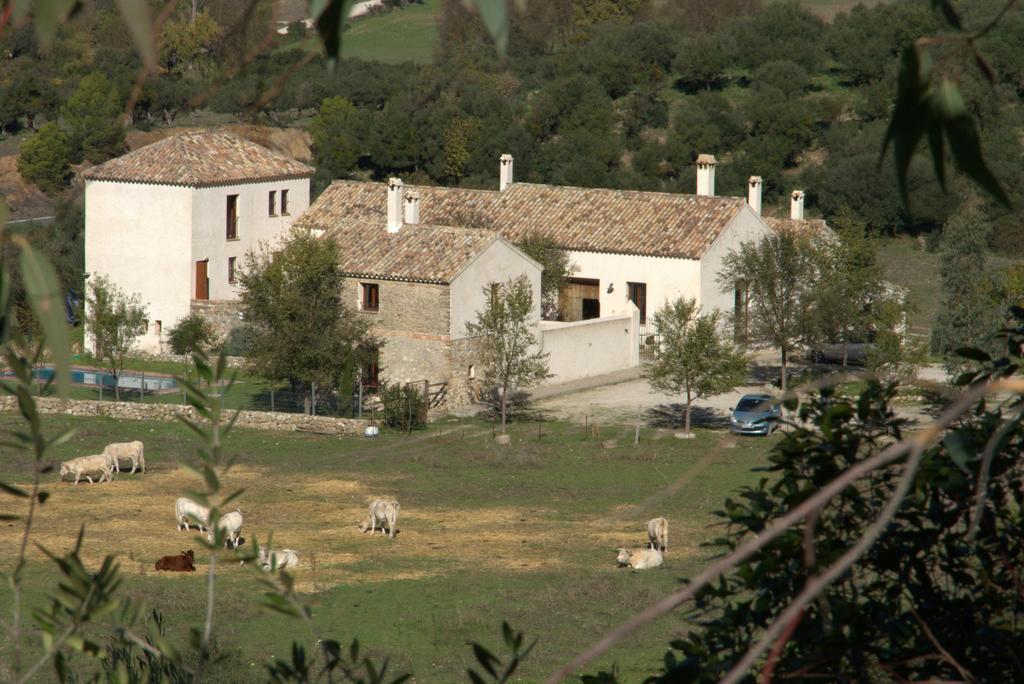 Casa Rural El Vihuelo Hotel El Bosque Exterior photo