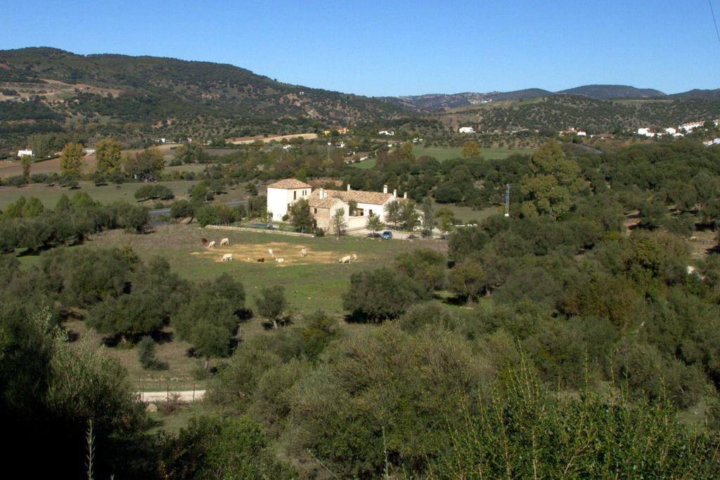 Casa Rural El Vihuelo Hotel El Bosque Exterior photo